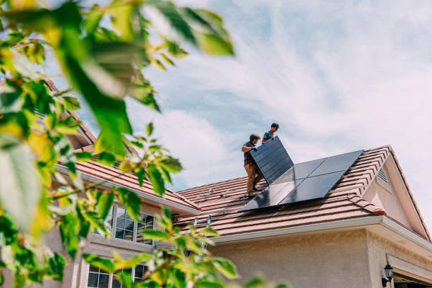 Best Roof Moss and Algae Removal  in Gardende, AL