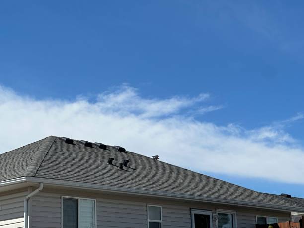 Best Gutter Installation and Repair  in Gardende, AL